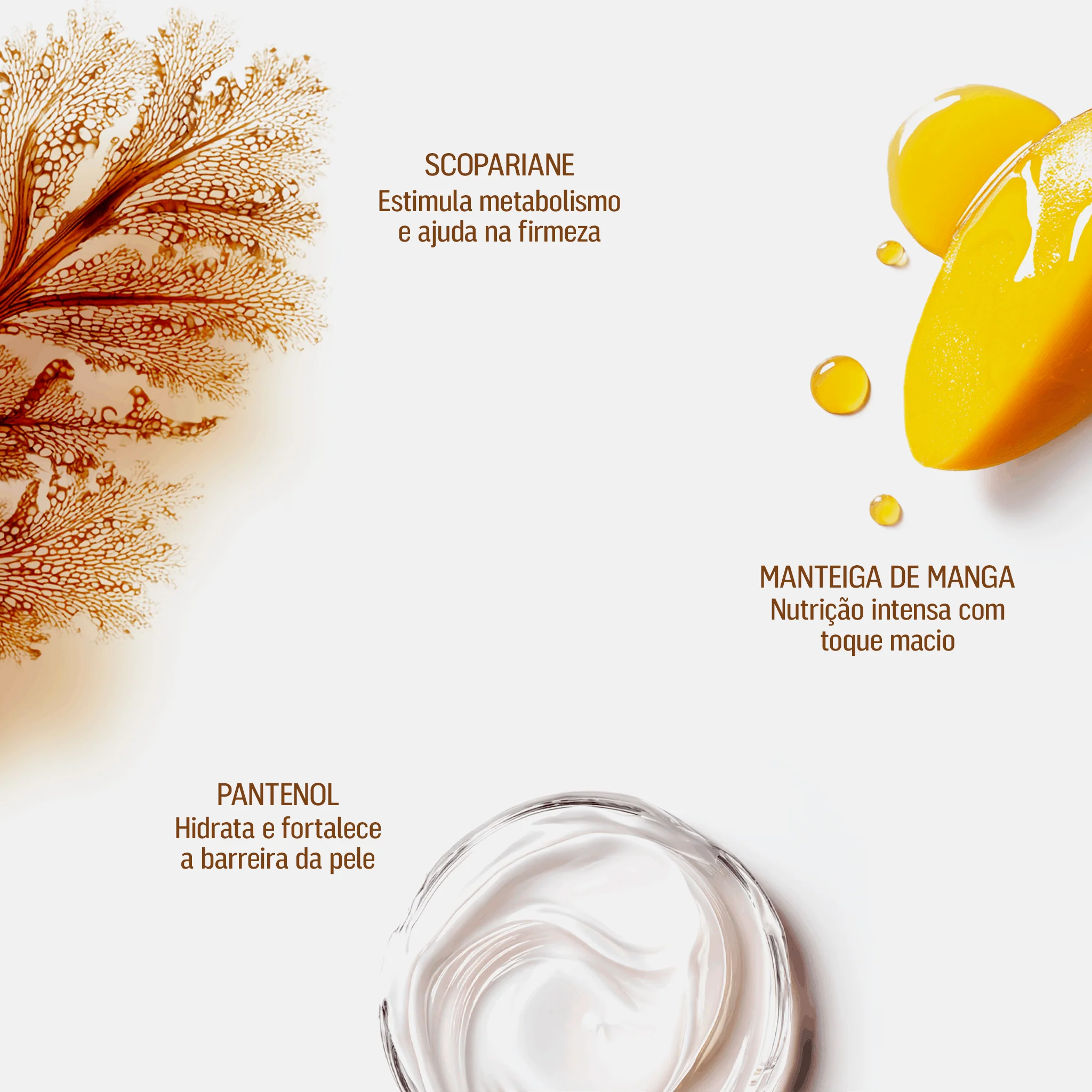 Barriguinha Cream 200g - Image 6
