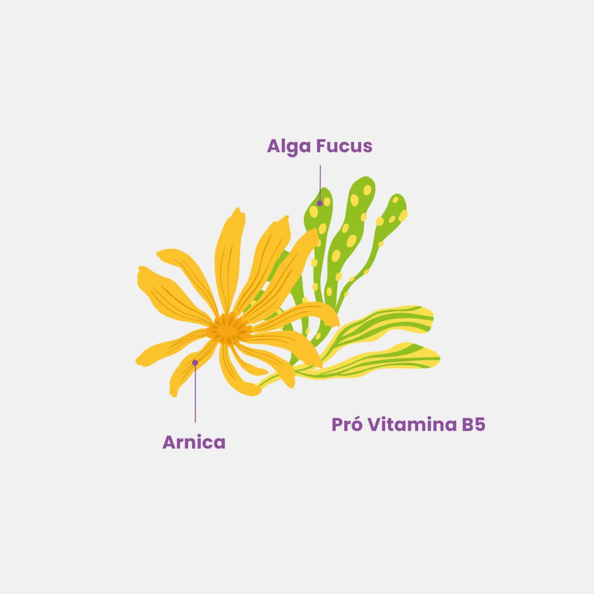 Esfoliante Corporal Esfrega - Image 6